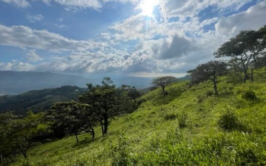 Ideal farm with amazing views for development – Guacimo, Atenas, Alajuela – 40005152876