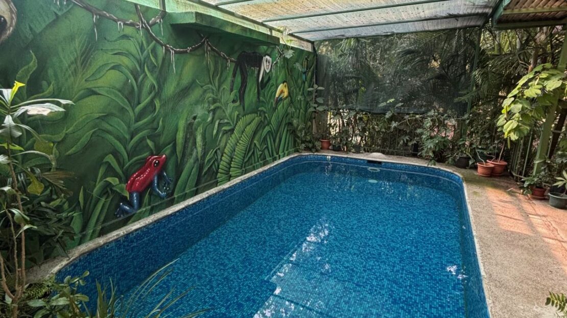 Costa Rica House/Villa #400051521037