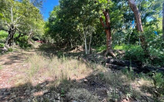 Large property in the nature of Atenas – 40005152821