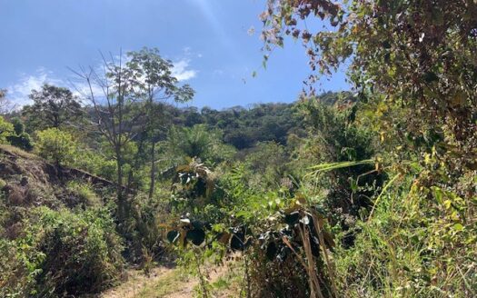 465,768m2 (116m2) with existing permits to develop – Barrueta, Atenas, Alajuela – 40005152660