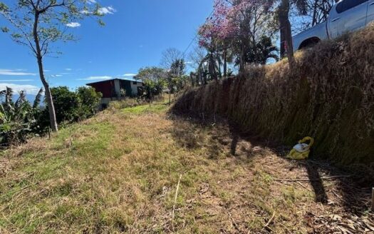The perfect lot to build your dream home in Atenas – 40005152979