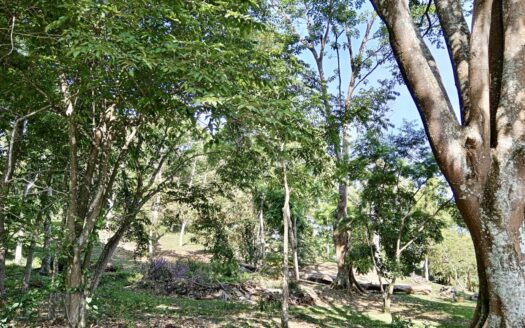 Beautiful views and quiet gated community – 400052042063