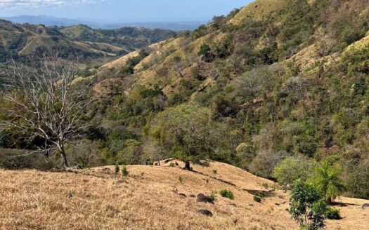 Beautiful 50 acre property adjacent to a natural swimming hole – 400051521019