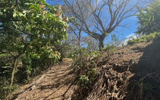 Home in very private and natural area of Turrucares, Alajuela – 40005152895